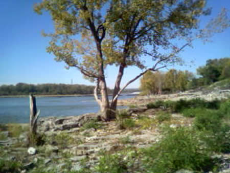 Ohio River Falls