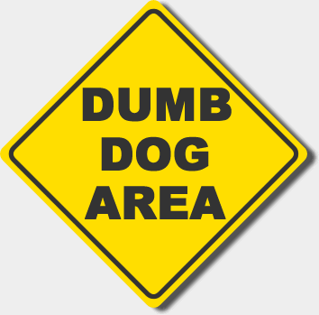 dumb dog area